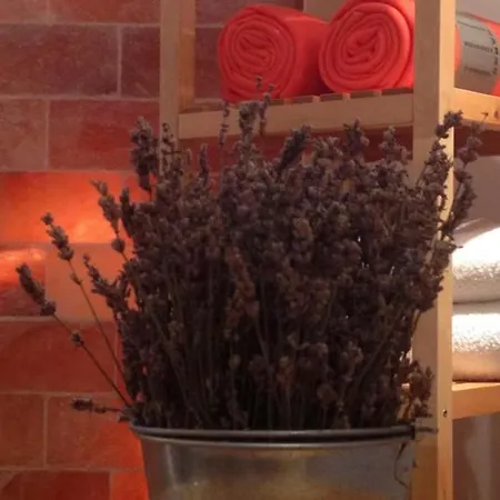 Fuerjes Panzio 블로톤퓌레드