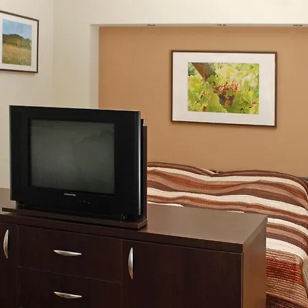 Fuerjes Panzio Guest house Balatonfured