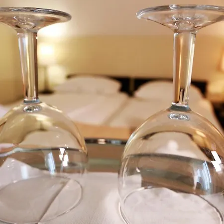 Fuerjes Panzio 4* 블로톤퓌레드