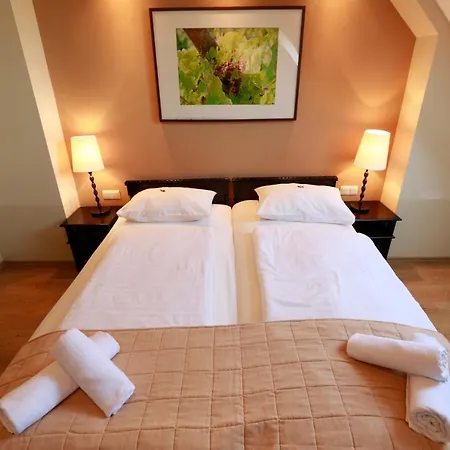 Guest house Fuerjes Panzio 3*
