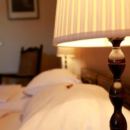 Fuerjes Panzio Guest house 3*
