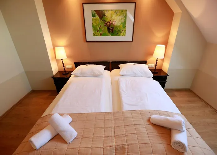 Penzion Fuerjes Panzio 4*